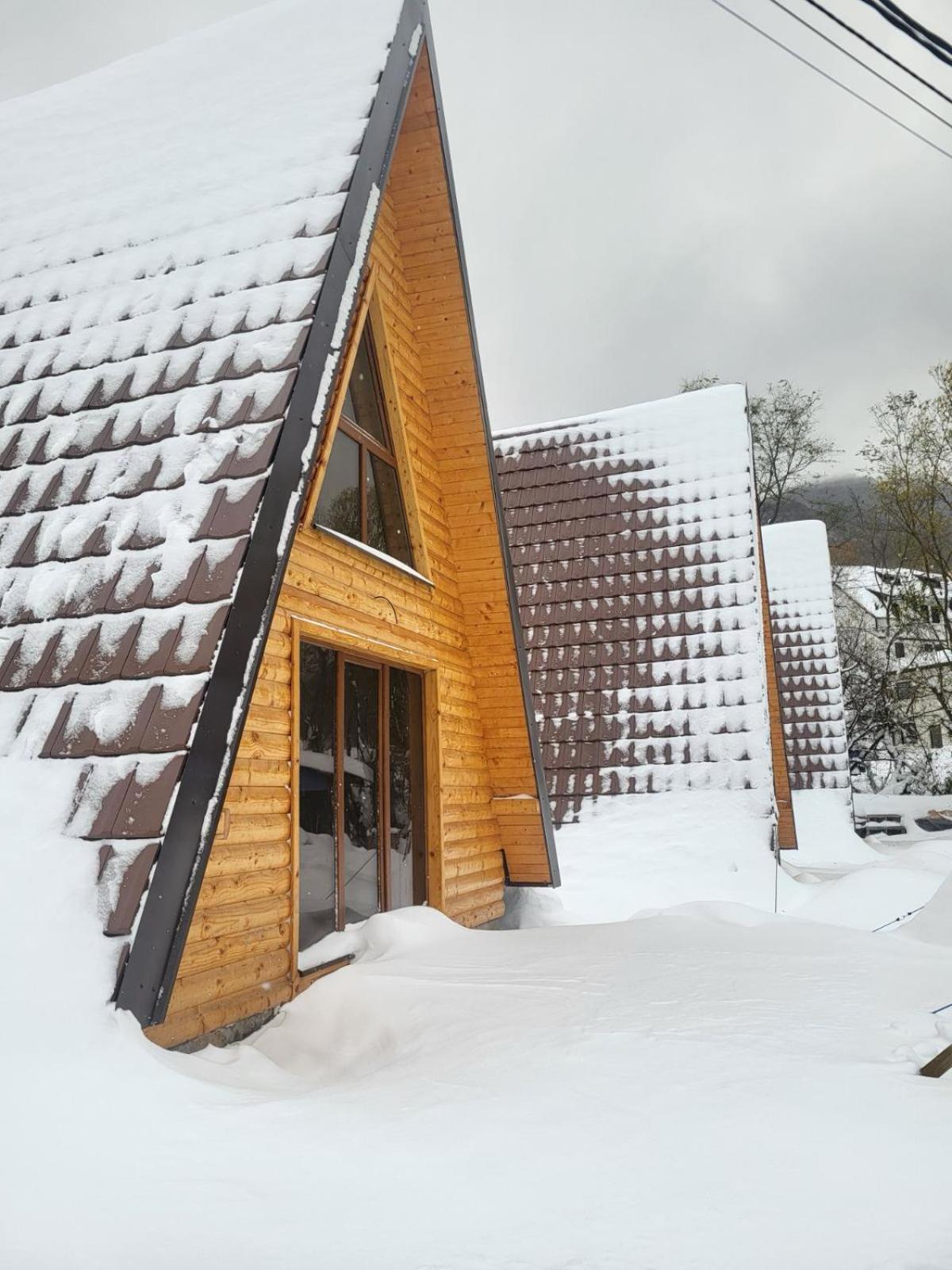 Vila Brvnare Todorovic Crni Vrh Exteriér fotografie