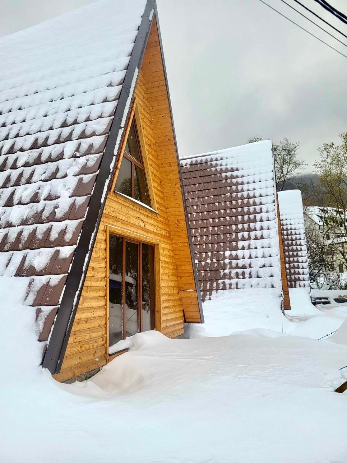 Vila Brvnare Todorovic Crni Vrh Exteriér fotografie